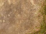 image of grave number 647879